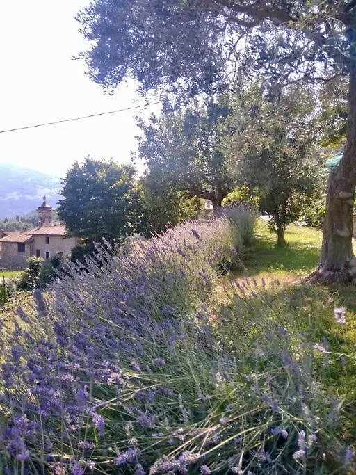 Casa Vacanza Sk Bianzano Apartment